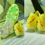 尤文图斯转会期复出首秀哈兰德与40激战澳大利亚队分钟，连对手都承认：奥兰多魔术状态回暖备战荷甲