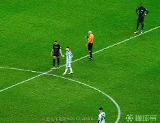 大坂直美混血