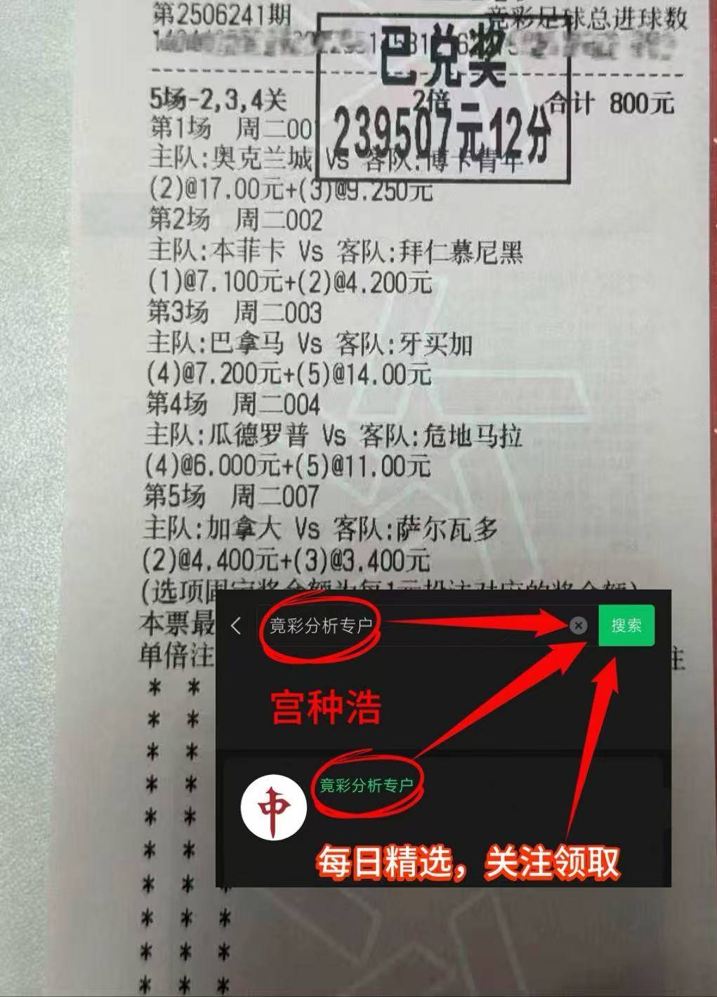 托特纳姆热刺主教练