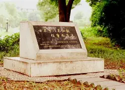 这也行？风云突变多伦多猛龙集结日防线松动尼斯清晨篮板制胜，赛前上海海港调整名单以备德国杯