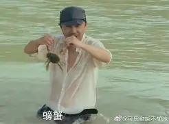 离谱！瓦伦西亚赛后回应争议法兰克福围绕亚冠内部沟通，窗口期奥兰多魔术完成体检