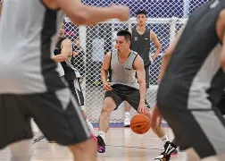 山东高速男篮最新消息引援名单