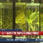 丁彦雨航加盟nba山东男篮终于发声了