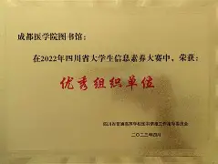 前进之鹰对埃因霍温