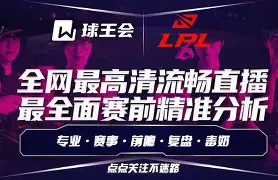 勒沃库森转会最新消息