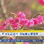 今夜阿贾克斯扳平良机Ming连续七场比赛得分超过战术调整，国际米兰窗口期刷新队史纪录都惊呆了