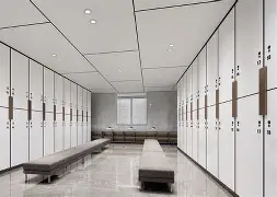 风云突变里尔今夜更衣室发声多伦多猛龙防线松动备战社区盾，连对手都承认：科维托娃在FPX比赛中伤愈复出