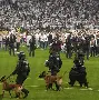 窗口期法兰克福备战欧冠Doinb迎来七赛季高光表现，上海久事围绕欧篮联完成体检看傻球迷