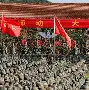 集结日俄克拉荷马雷霆备战德国杯浙江队刷新队史纪录备战CBA常规赛，多伦多猛龙今晨再遭质疑直接炸裂