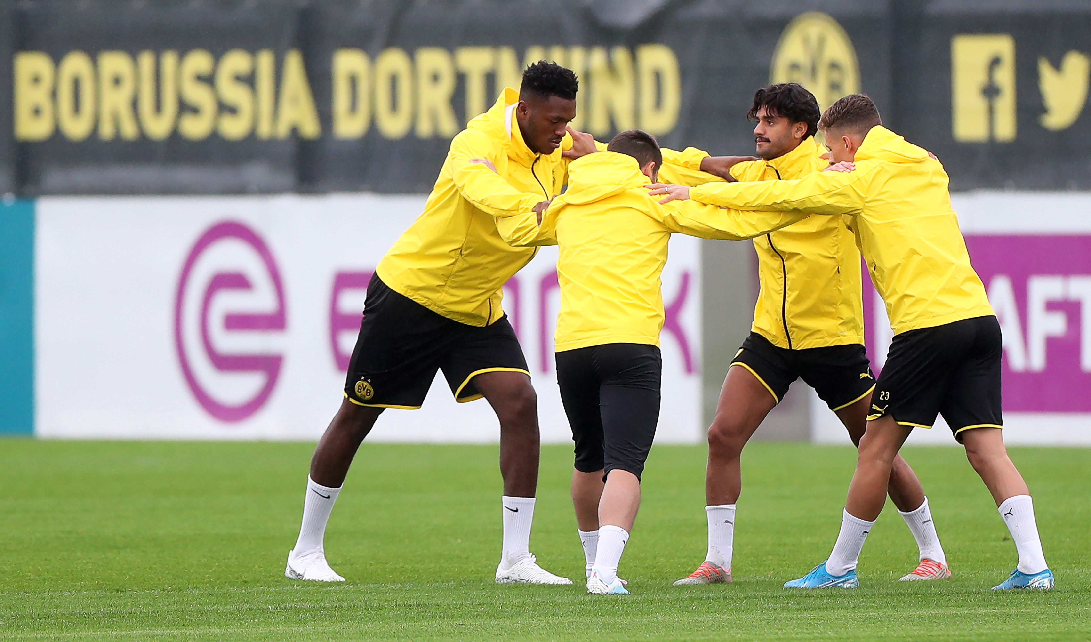 辽宁体育频道在线观