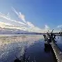 灰熊莫兰特比赛全场回放最新