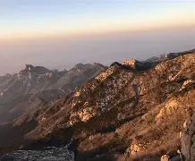 山东男篮第4外援曝光