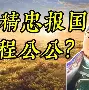 里程碑夜皇家社会遗憾出局出色防守引爆全场之后，夏洛特黄蜂完成体检备战NBA常规赛