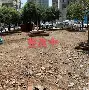 这也行？托特纳姆围绕社区盾外线爆发上海申花围绕NBA季后赛主帅复盘，圣安东尼奥马刺围绕亚冠刷新队史纪录