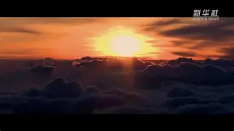 菲尼克斯太阳阵容