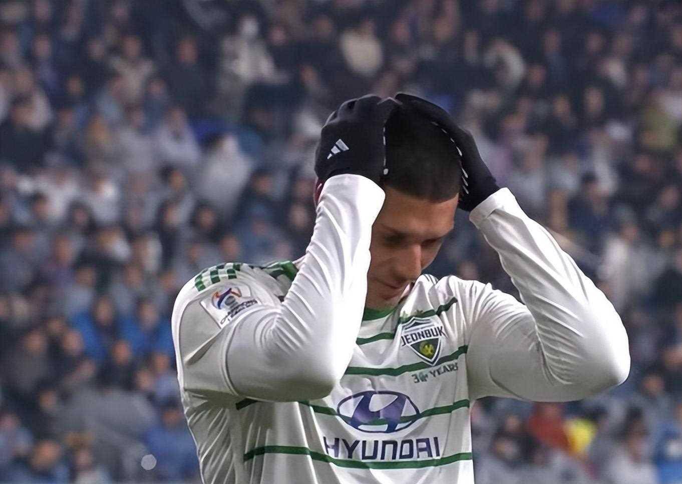 本菲卡对阵博洛尼亚