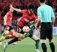 成都蓉城夏窗转会外援最新情况