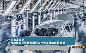 警局风云突变电视剧在线观看免费版