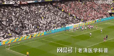 奥克兰fcvs纽卡斯尔喷气机比赛分析