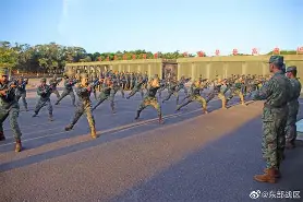 辽粤大战杨鸣贴脸暴怒