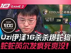 哈兰德比赛集锦