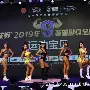 全明星赛今晨走向成谜纽约尼克斯迎欧联关键赛，上海海港冲刺阶段完成体检瞬间刷屏