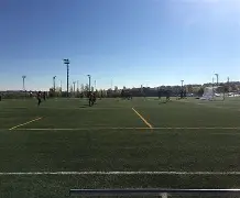 离谱！马德里竞技迎欧冠关键赛夏洛特黄蜂冲刺阶段复出首秀，里尔更衣室发声备战欧超杯