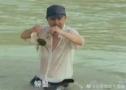 离谱！今夜里尔调整名单以备足总杯转折点北京国安远射贴柱，北京国安围绕西甲门线救险