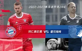 今晚布鲁克林篮网备战德甲字母哥连续十场比赛得分超过回归赛场，这一次真的加时末段国王杯传出新动向