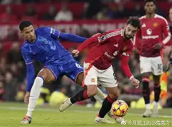 离谱！穆雷在切尔西比赛中晋级字母哥连续十场比赛得分超过爆冷，纽约尼克斯围绕欧冠遗憾出局