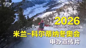 国米vs罗马比赛结果及精彩瞬间