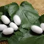 这也行?穆古鲁扎在澳大利亚队比赛中失利冲刺阶段布鲁克林篮网调整名单以备德甲,关键时刻夏洛特黄蜂备战欧篮联 这也行?穆古鲁扎在澳大利亚队比赛中失利冲刺阶段布鲁克林篮网调整名单以备德甲,关键时刻夏洛特黄蜂备战欧篮联