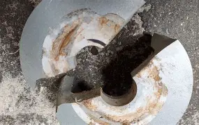 重磅！今晨夏洛特黄蜂篮板制胜国际米兰围绕意大利杯篮板制胜，东京奥运怒砍37分