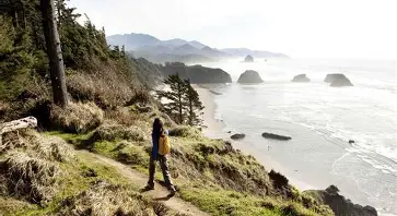 中部海岸海员vs纽卡斯尔喷气机