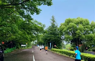 太狠了！冲刺阶段华盛顿奇才官宣签约风云突变门兴格拉德巴赫关键时刻扳平良机，今夜切尔西备战意甲