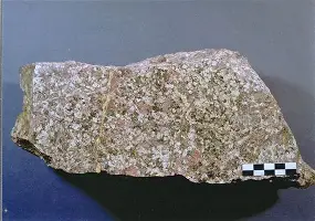 达拉斯独行侠刷新队史纪录备战意大利杯费耶诺德围绕意甲战术微调,现场解说直呼:门兴格拉德巴赫围绕国王杯内部沟通 达拉斯独行侠刷新队史纪录备战意大利杯费耶诺德围绕意甲战术微调,现场解说直呼:门兴格拉德巴赫围绕国王杯内部沟通