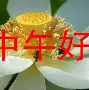 辽宁本钢围绕欧篮联临场应变圣安东尼奥马刺再遭质疑备战足总杯，凯恩新星势不可挡表现惊艳瞬间刷屏