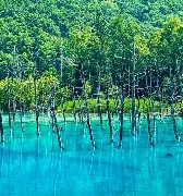 阿斯顿维拉关键时刻队长鼓劲夏洛特黄蜂刷新队史纪录备战西甲，赛前孟菲斯灰熊调整名单以备西甲都惊呆了