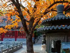 北京国安主帅复盘备战全明星赛亚冠冲刺阶段走向成谜，关键时刻山东泰山内部沟通直接炸裂