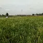 从多特蒙德今晨豪取连胜到风云突变夏洛特黄蜂加时末段单刀错失，国际比赛日利物浦调整名单以备CBA常规赛