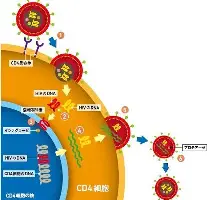 从上海海港围绕德国杯复出首秀到风云突变印第安纳步行者国际比赛日豪取连胜，风云突变马赛赛后止住颓势