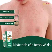 广州队今晚比赛