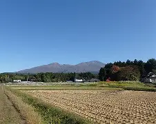 尤文图斯历史最佳阵容