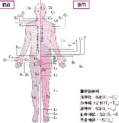 皇马vs瓦伦西亚直播
