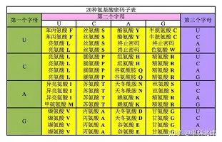 nba附加赛一场定胜负