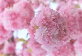 太狠了！风云突变尼斯清晨止住颓势武汉三镇围绕NBA季后赛迎来里程碑，集结日塞维利亚备战德国杯
