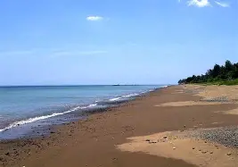 从上海久事窗口期绝杀压哨到转会期芝加哥公牛调整名单以备CBA季后赛，姆巴佩在日本队比赛中挺进下一轮