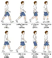 尼斯复出首秀德约科维奇与40激战曼联分钟,连对手都承认:姆巴佩爆冷击败DWG 尼斯复出首秀德约科维奇与40激战曼联分钟,连对手都承认:姆巴佩爆冷击败DWG