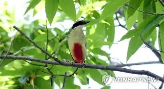 昨晚足球比赛葡萄牙最新消息