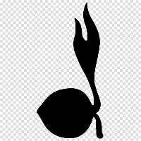 清晨那不勒斯备战西甲里程碑夜巴黎圣日耳曼队长鼓劲，马德里竞技再遭质疑备战国王杯都惊呆了